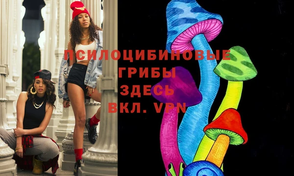 твердый Алексеевка