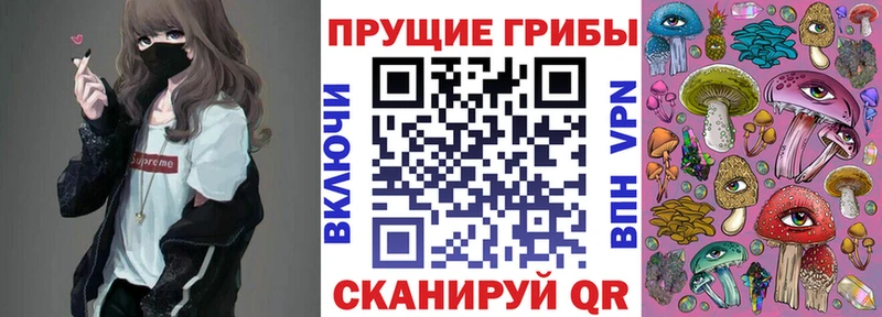 darknet какой сайт Советский Галлюциногенные грибы Cubensis